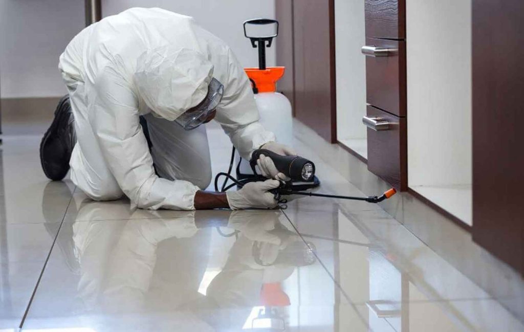 Pest Control
